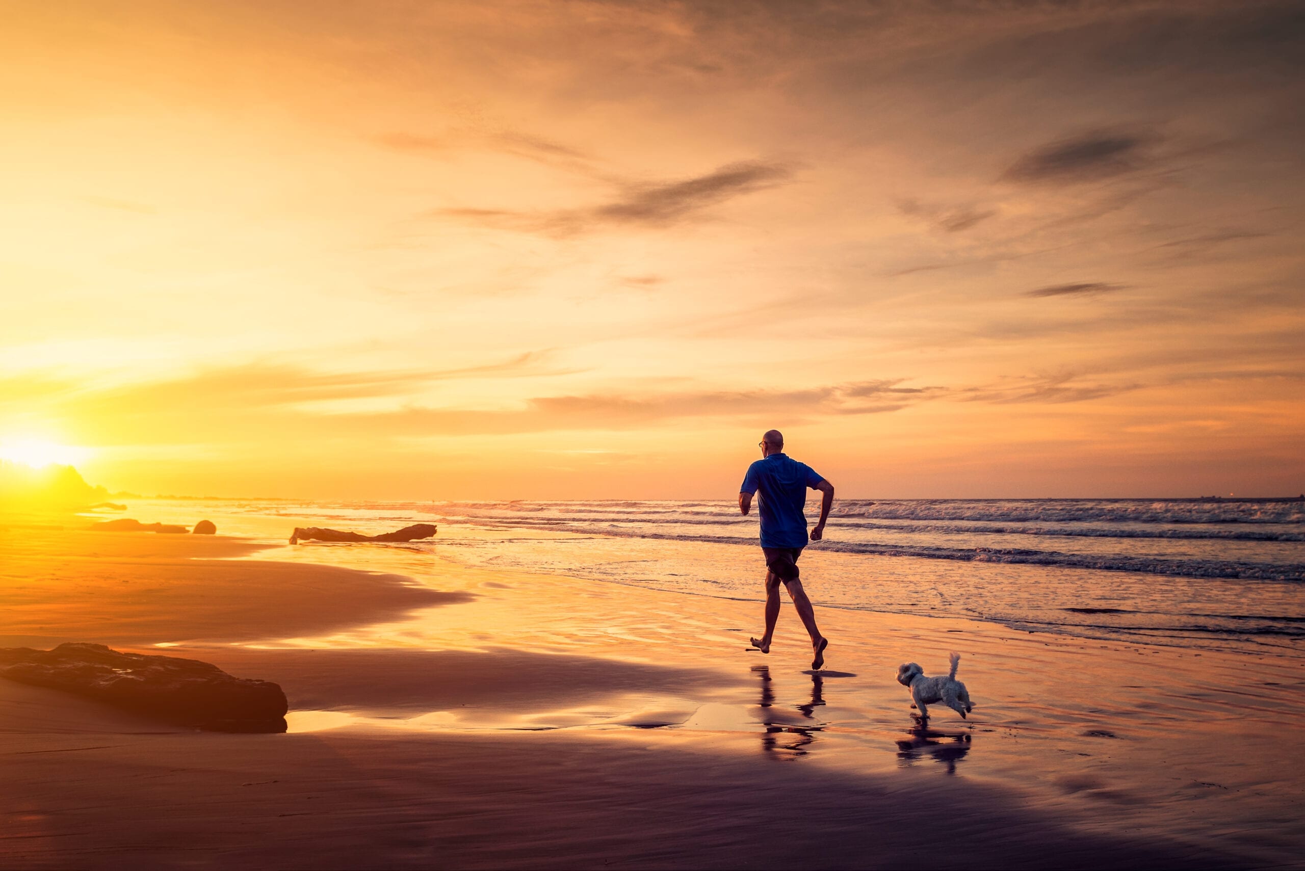 A man and a dog running on the beach